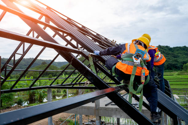 Best Roof Gutter Cleaning  in Brockport, NY